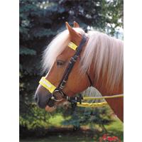 Reflektierende Artikel für Pferd und Reiter